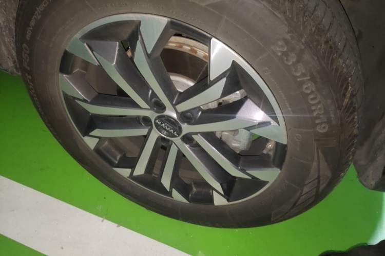 Used Haval DARGO 2024 1.5T DCT Border Collie Edition