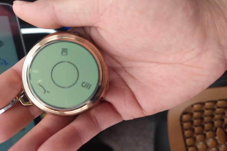 Used NETA V 2021 Long-Range Entertainment Edition Upgrade Model