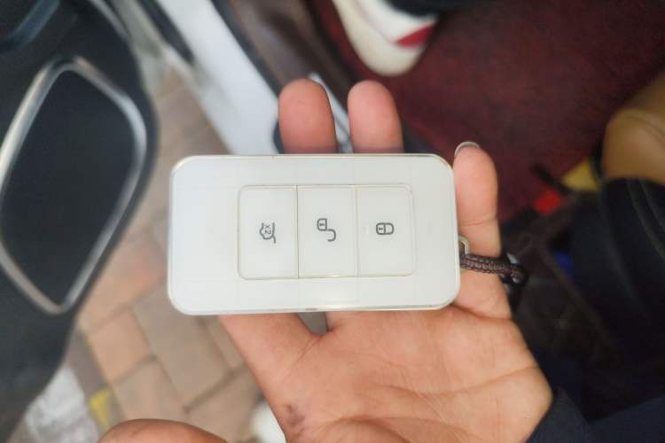 Used BYD Qin New Energy 2017 1.5T Luxury Model