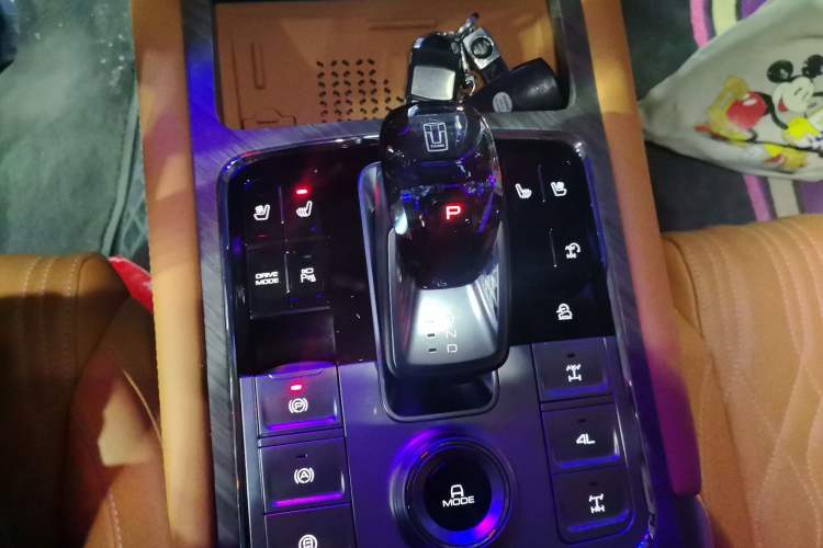 Used Tank 500 New Energy 2025 Hi4-Z
