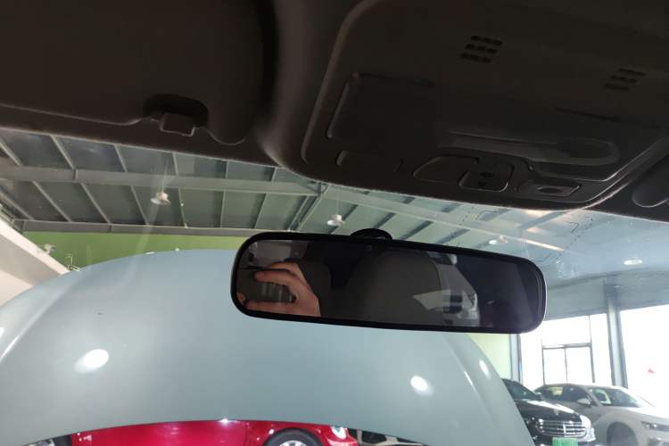 Used SOL E10X 2022 Flower Fairy Style Baby's Breath