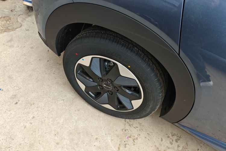 Used BYD Dolphin 2025 420km Free Edition
