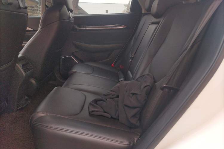 Used DORCEN G60S 2019 1.5T Automatic Luxury Version China VI Standard Left Rear Seat