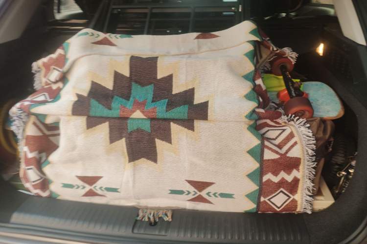 Used NETA U 2021 Pro 500 Global Edition Trunk