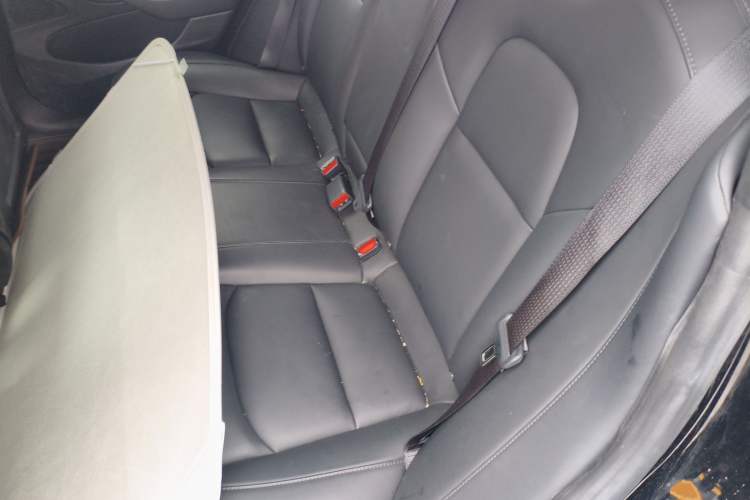 Used Tesla Model 3 2020 Revised Version Standard Range Rear-Wheel Drive – Upgraded Edition Left Rear Seat