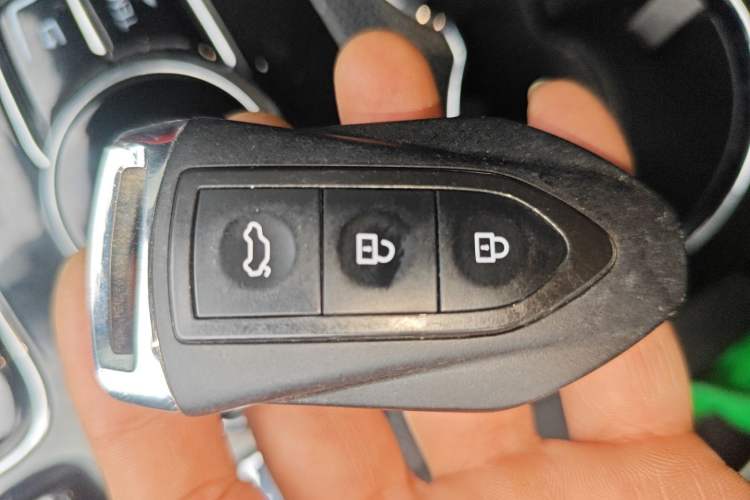 Used Leopaard CS9 2017 1.5L CVT Comfort Model