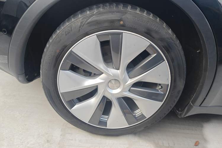 Used Tesla Model Y 2021 Standard Range Rear-Wheel Drive Version
