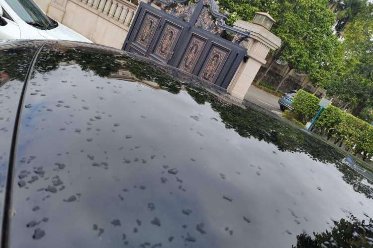 Used Ford Mustang Mach-E 2021 Leap Edition Rear-Drive Version (Standard Range) Roof