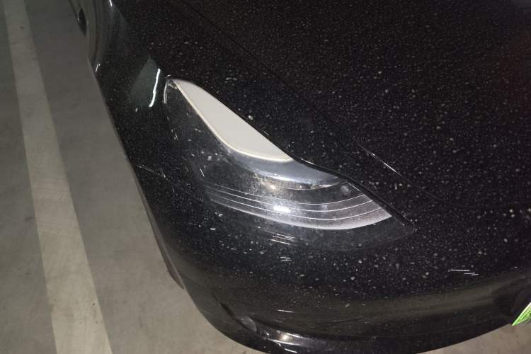 Used Tesla Model 3 2022 Rear-Wheel-Drive Version