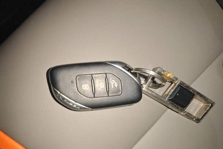 Used FORTHING T5 2022 Mach Edition 1.5T DCT High-Performance Five-Seater