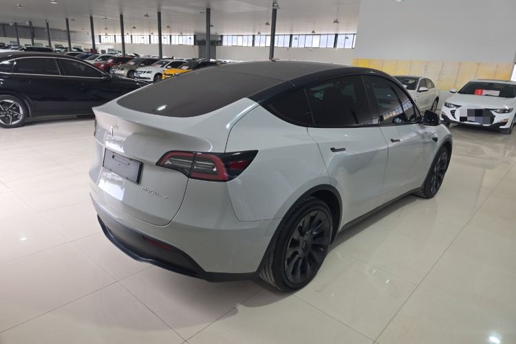 Used Tesla Model Y 2021 Standard Range Rear-Wheel Drive Version
