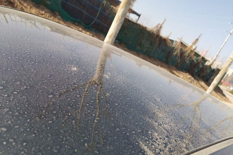 Used Honda e:NP1 2023 510 km Zhanji Version
