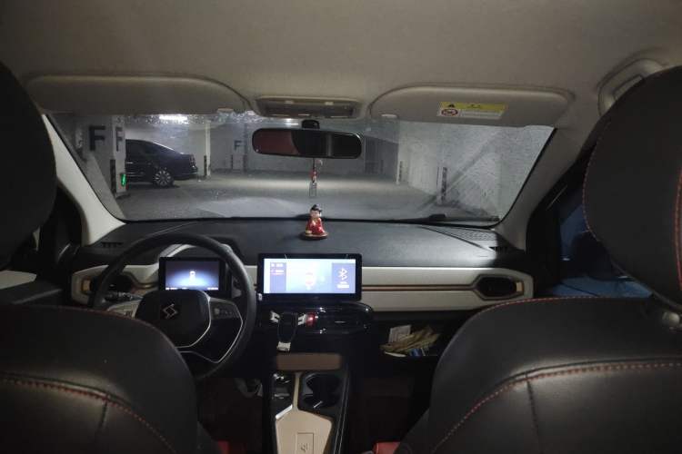 Used SOL E10X 2022 Flower Fairy Design Four-Leaf Clover Headliner