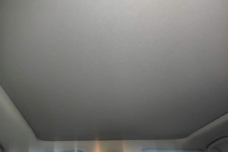 Used Toyota RAV4 2020 Dual-Motor 2.5L E-CVT Four-Wheel Drive Flagship Edition Headliner