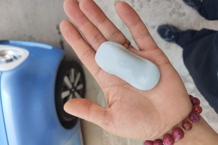 Used ORA Black Cat 2021 351 km Standard Version Interior 1