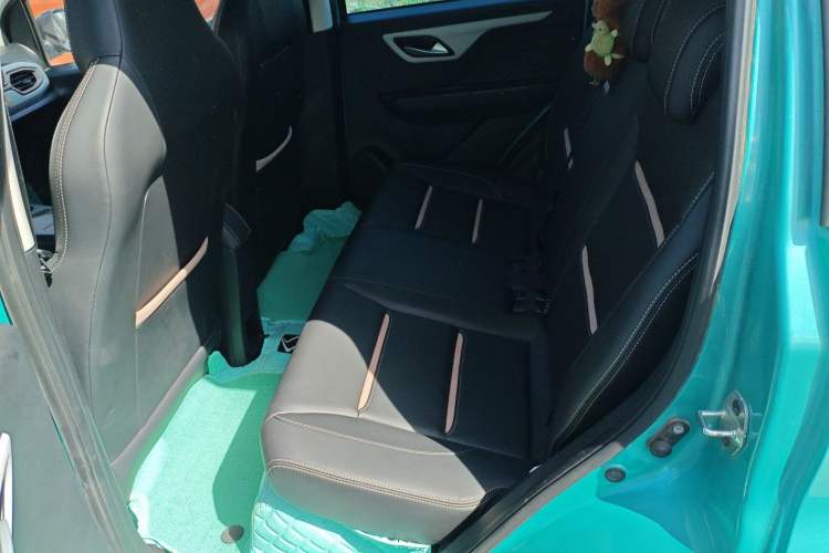 Used SOL E10X 2022 Flower Fairy Design Four-Leaf Clover
