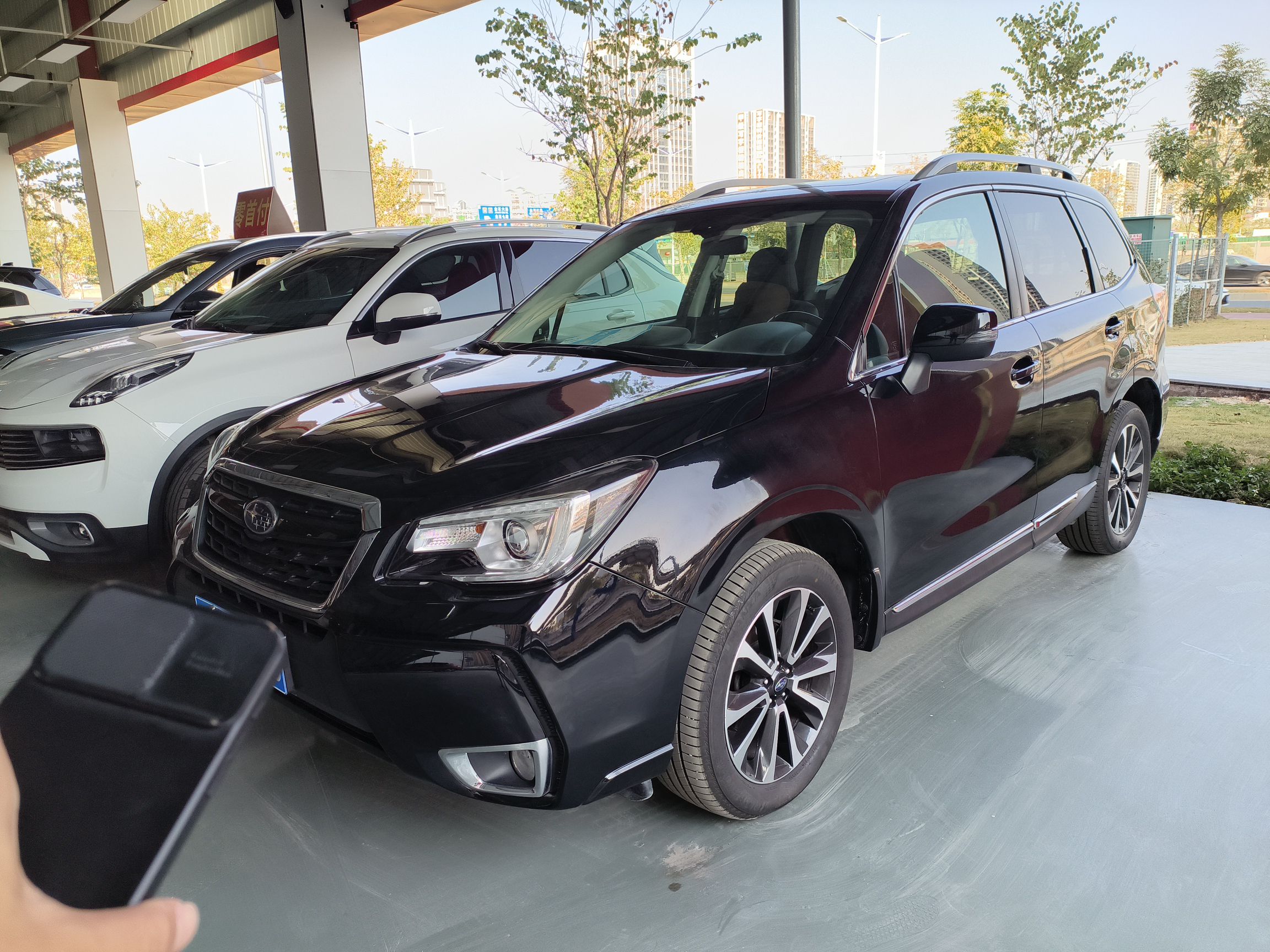 تحت مقدمة السيارة