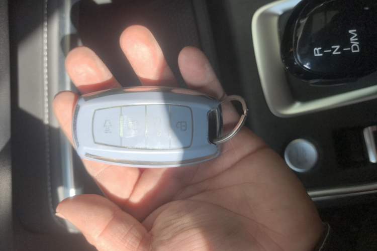 Used Haval H6 2021 National Trend Edition 1.5T Automatic Champion Version