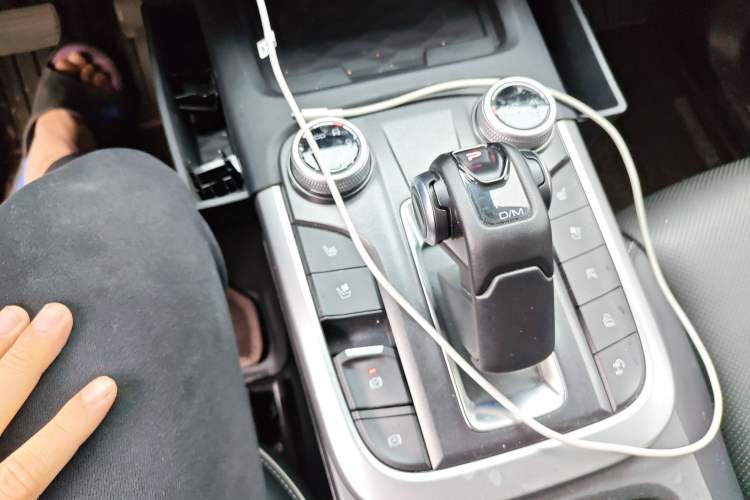 Used Tank 300 2024 2.0T Crosser