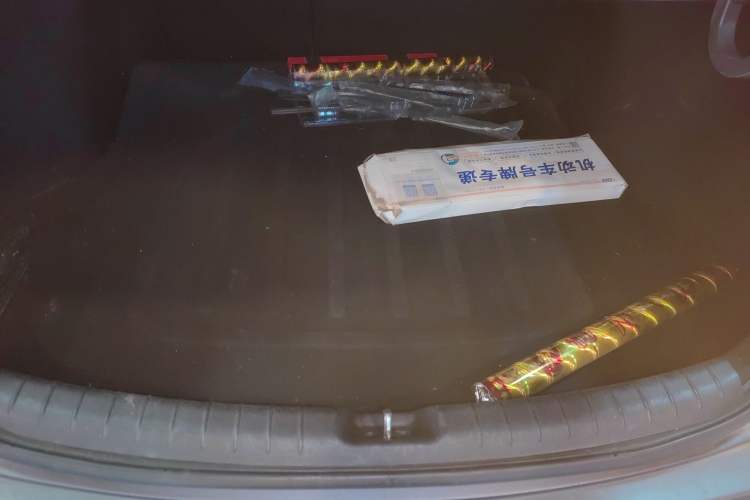 Used Hyundai Lafesta Electric 2020 GLX ZhiJie Edition