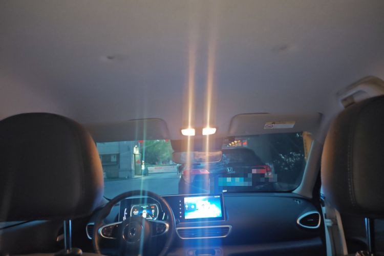 Used ORA White Cat 2020 401 km Flagship Version Headliner