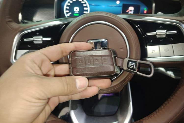 Used Tank 700 New Energy 2024 Hi4-T Extreme Edition Interior 1