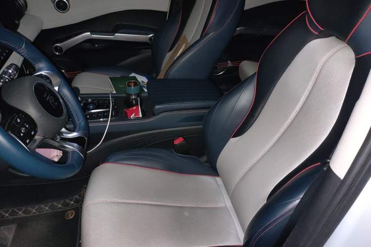 Used BYD Yuan PLUS 2022 510 km Luxury Version Left Front Seat