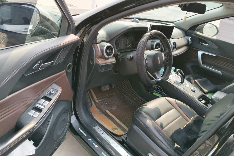 Used Wey VV5 2021 1.5T Two-Wheel Drive Color Pioneer Driver Seat