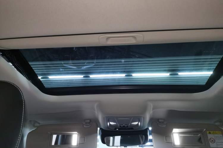 Used Tank 300 2024 2.0T Conqueror
