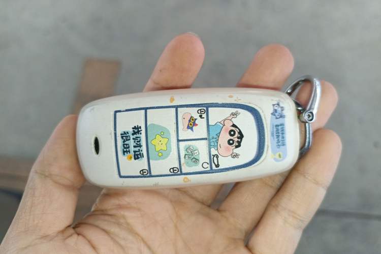 Used AION Y 2022 70 Executive Edition Lithium Iron Phosphate