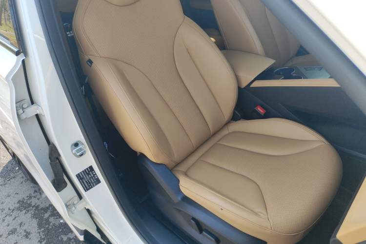 Used Roewe RX5 2023 1.5T Elite Edition
