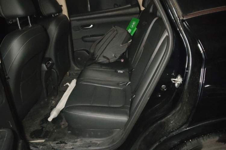 Used Landian E5 PLUS 2025 165 km Long-Range First Edition 5-Seater