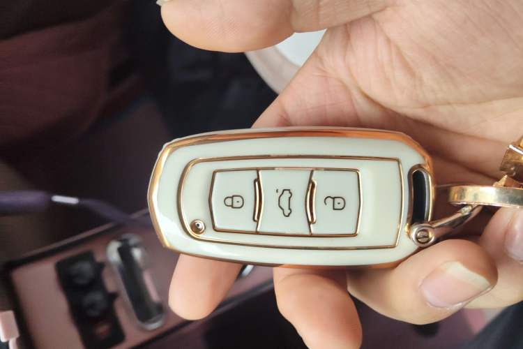 Used Geely Galaxy Panda 2023 Panda Mini 200km Endurance Bear
