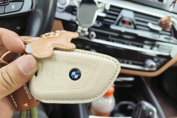 Used BMW 5 Series 2018 528Li Launch Special Edition