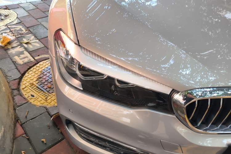 Used BMW 5 Series 2018 528Li Launch Special Edition