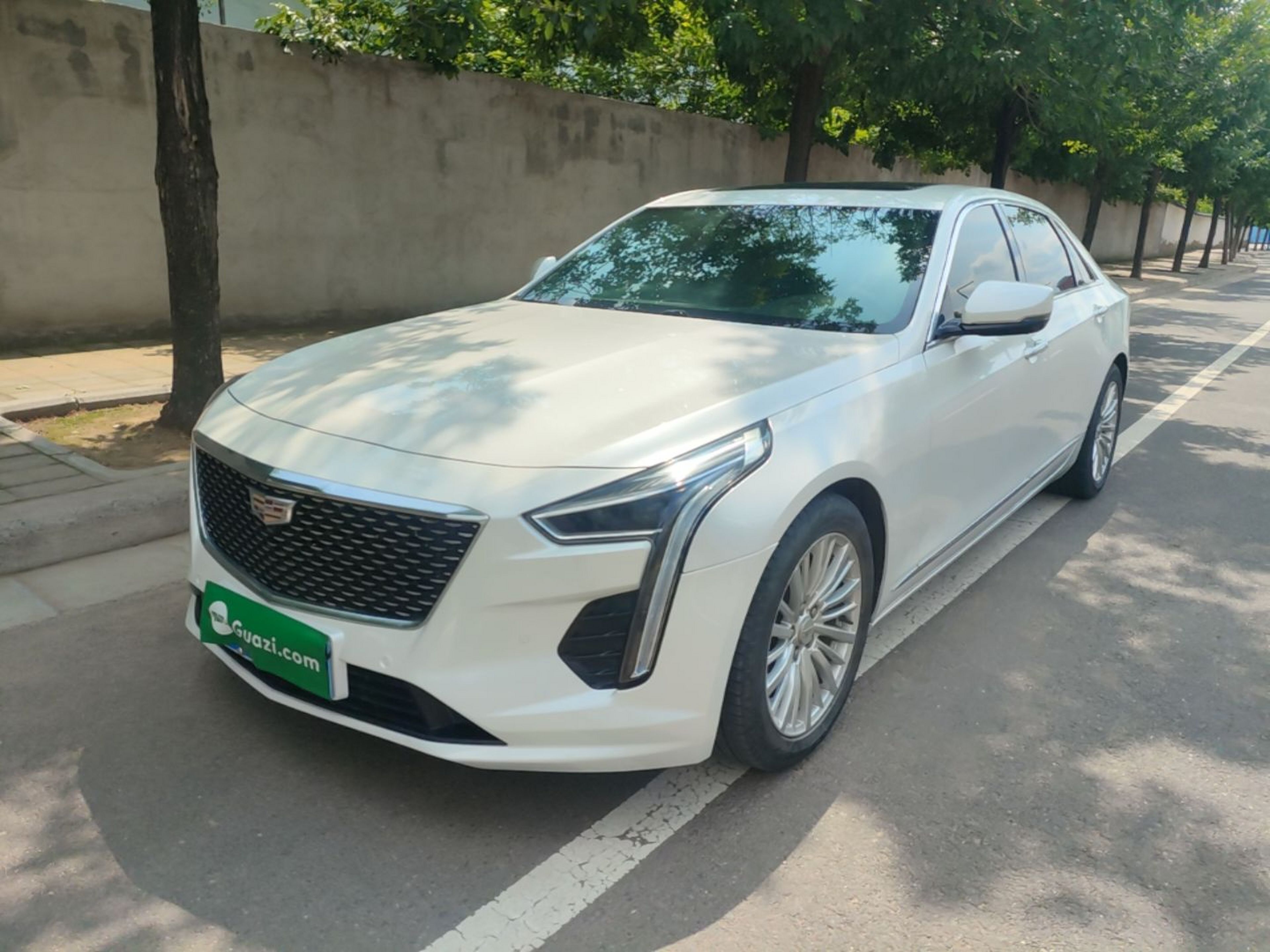 Under Front Bumper