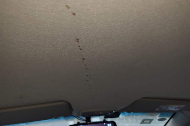 Used Chevrolet Sail 2013 Sedan 1.2L Manual Fashionable Happiness Edition