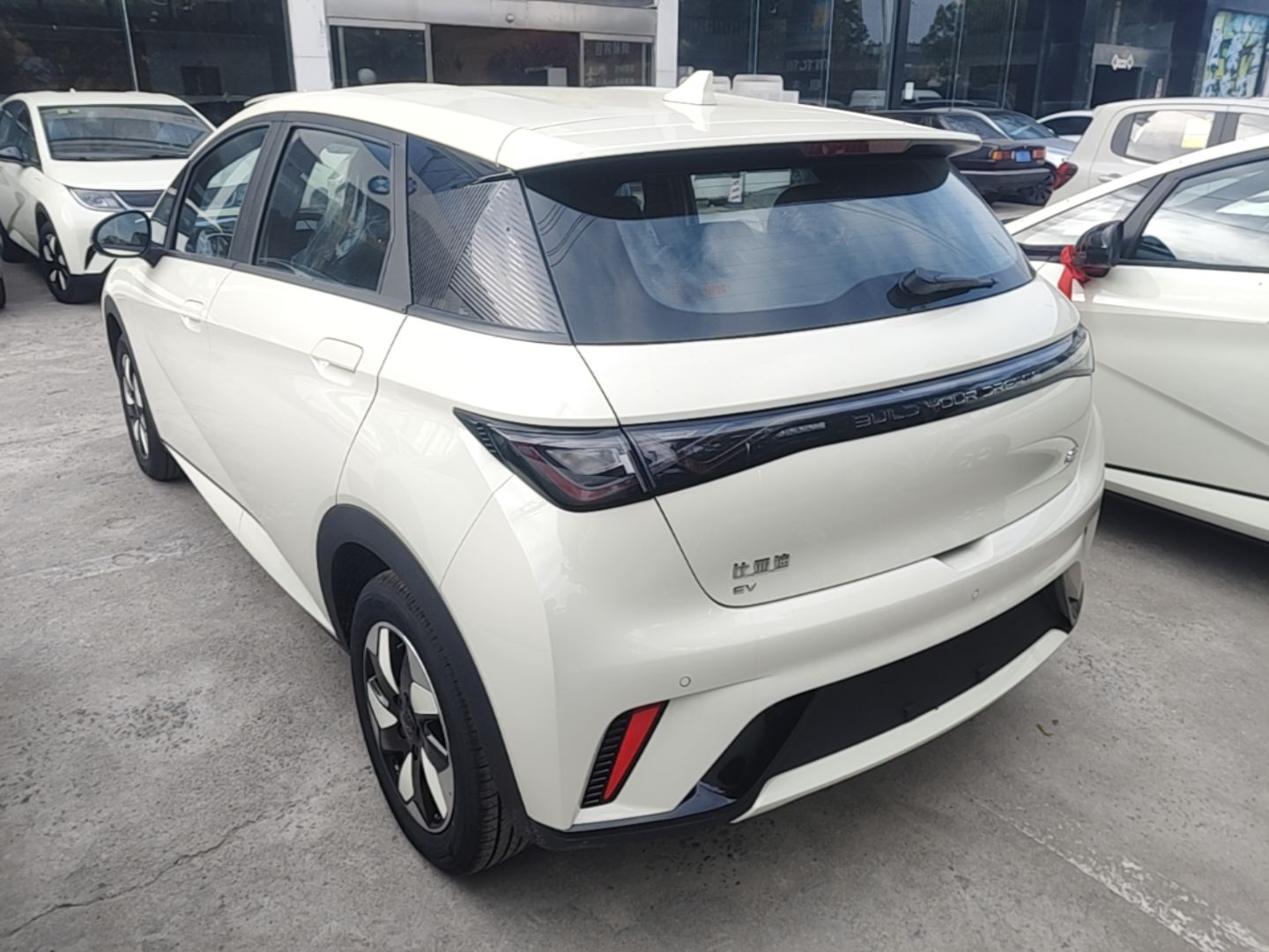 BYD Dolphin 2025 420km Free Edition — снимка 4