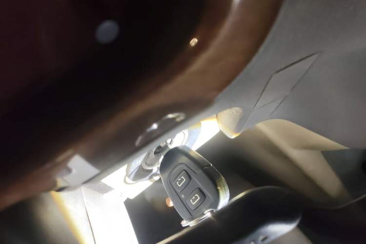 Used Foton Scenic G5 2019 2.0L New Express 7-Seater 1TZ
