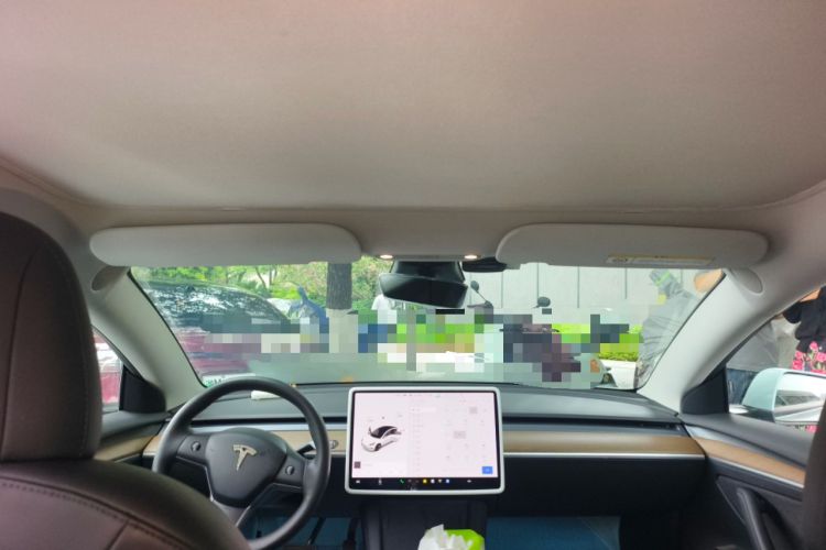 Used Tesla Model 3 2021 Standard Range Rear-Drive Upgraded Version Headliner