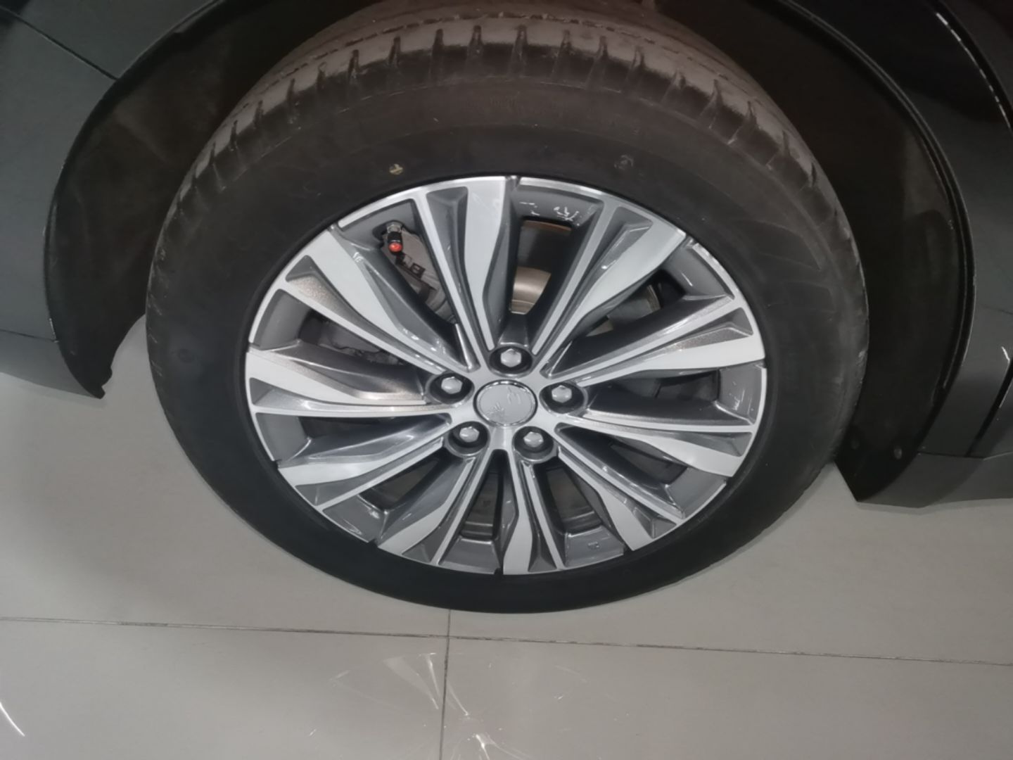 Hongqi E-QM5 2024 610 km PLUS — снимка 11