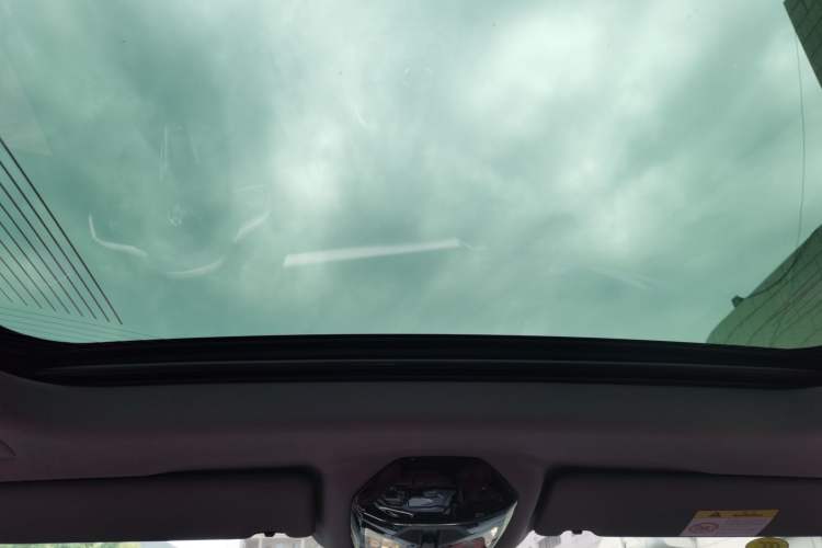 Used BMW 5 Series 2025 530Li Luxury Edition M Sport Package Headliner