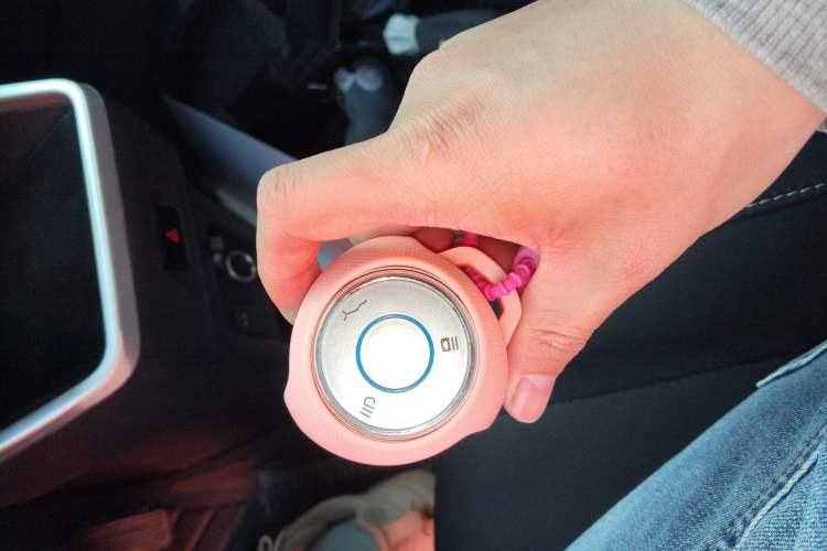 Used NETA V 2022 Standard Range Industry Custom Edition Interior 1