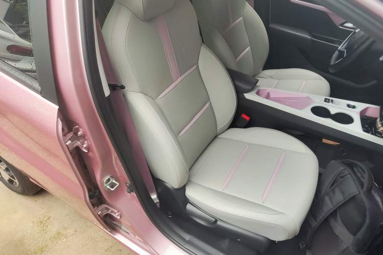 Used SOL E10X 2022 Flower Fairy Design Four-Leaf Clover
