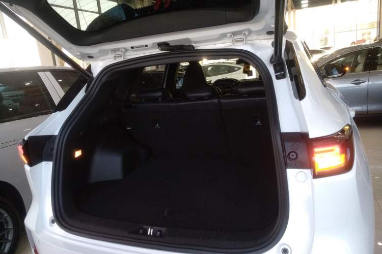 Used Qiyuan Q05 2023 60 Pro