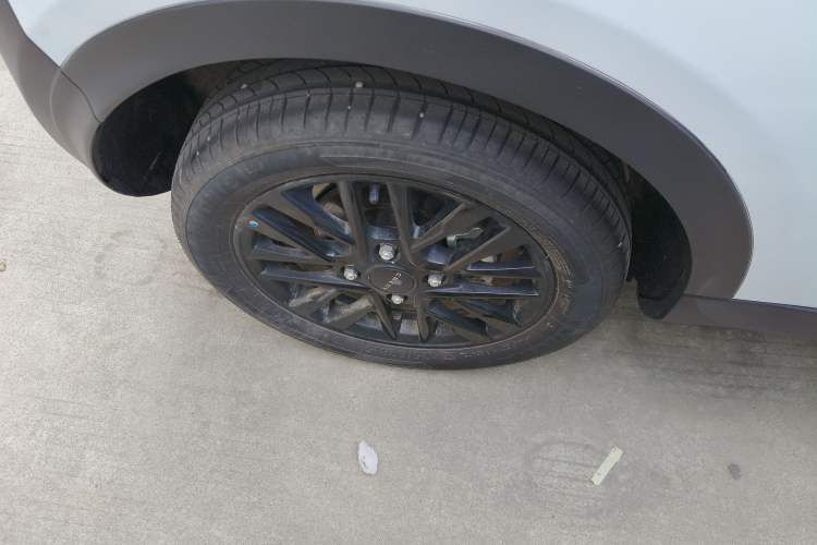 Used Chery Little Ant 2024 Revised Version Youth Edition 251 km True Love Edition 25.05 kWh
