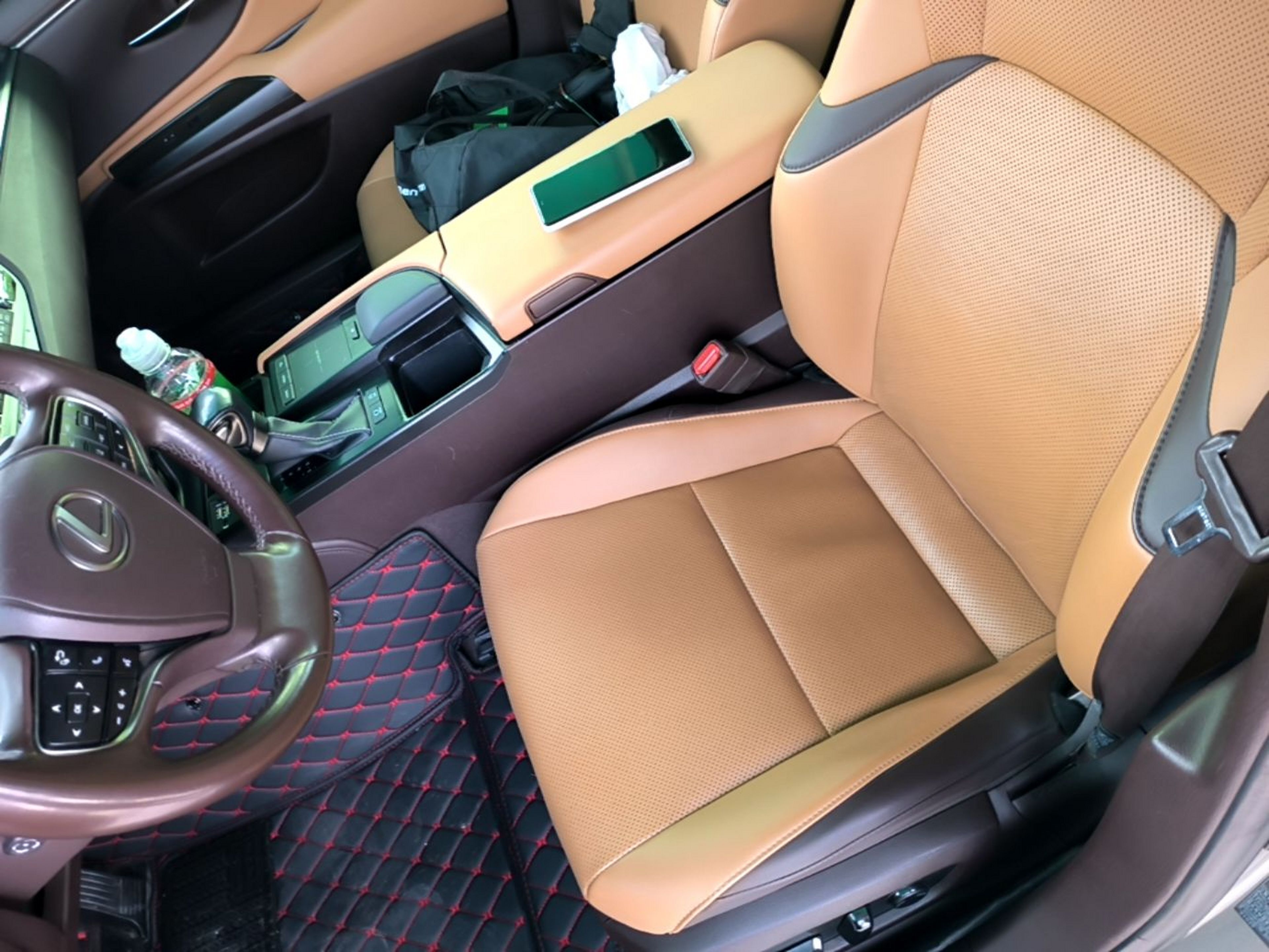 Interior delantero