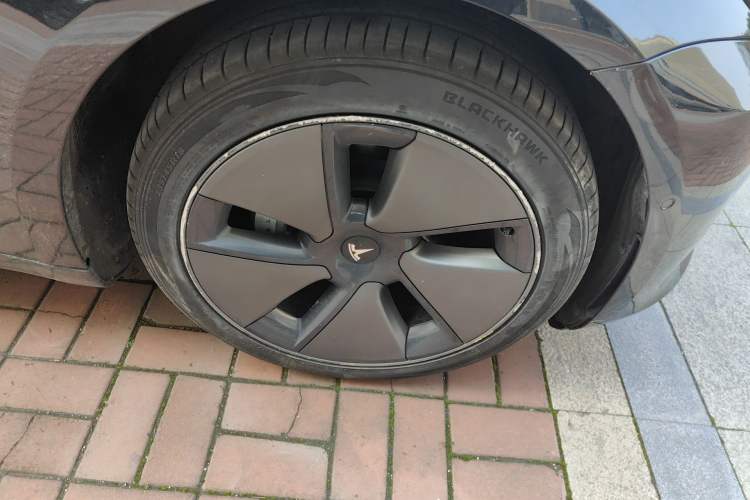 Used Tesla Model 3 2021 Standard Range Rear-Wheel Drive Upgraded Version 3D6