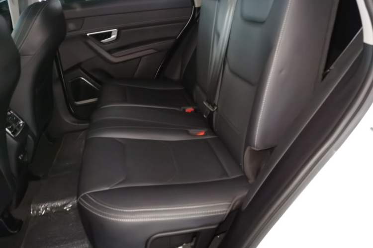 Used BYD Song Pro 2019 1.5T Automatic Luxury Model Left Rear Seat