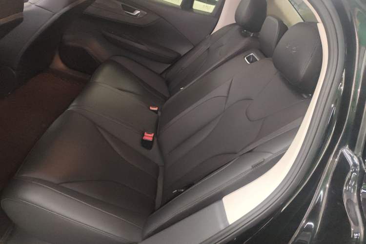 Used Hongqi E-QM5 2023 Revised Version Basic Travel Edition Left Rear Seat